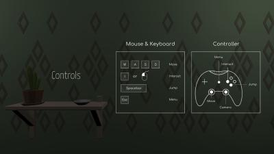 control scheme display in the settings menu